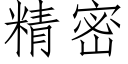 精密 (仿宋矢量字庫)