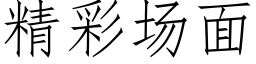 精彩场面 (仿宋矢量字库)