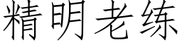 精明老練 (仿宋矢量字庫)