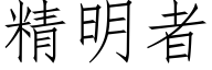 精明者 (仿宋矢量字庫)