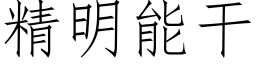 精明能干 (仿宋矢量字库)