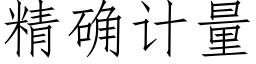 精确計量 (仿宋矢量字庫)