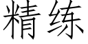 精练 (仿宋矢量字库)