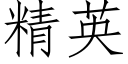 精英 (仿宋矢量字库)