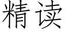 精读 (仿宋矢量字库)