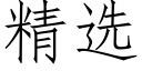 精选 (仿宋矢量字库)