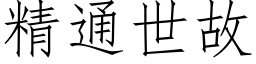 精通世故 (仿宋矢量字库)