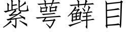 紫萼藓目 (仿宋矢量字庫)