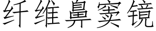 纖維鼻窦鏡 (仿宋矢量字庫)