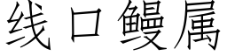 線口鳗屬 (仿宋矢量字庫)