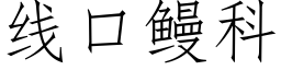 线口鳗科 (仿宋矢量字库)