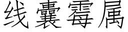 线囊霉属 (仿宋矢量字库)