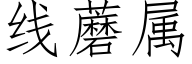 线蘑属 (仿宋矢量字库)