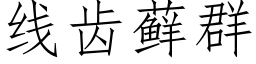 线齿藓群 (仿宋矢量字库)