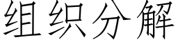 组织分解 (仿宋矢量字库)