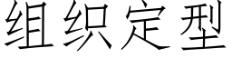 組織定型 (仿宋矢量字庫)