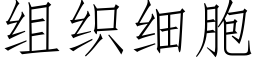 組織細胞 (仿宋矢量字庫)