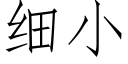 細小 (仿宋矢量字庫)