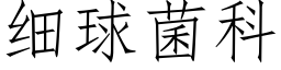 細球菌科 (仿宋矢量字庫)