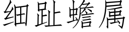 细趾蟾属 (仿宋矢量字库)