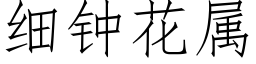 细钟花属 (仿宋矢量字库)