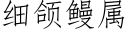 细颌鳗属 (仿宋矢量字库)