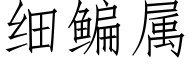 細鳊屬 (仿宋矢量字庫)