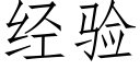 经验 (仿宋矢量字库)