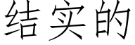 結實的 (仿宋矢量字庫)