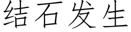 结石发生 (仿宋矢量字库)