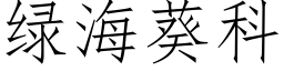 綠海葵科 (仿宋矢量字庫)