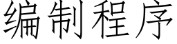 编制程序 (仿宋矢量字库)