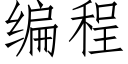 編程 (仿宋矢量字庫)