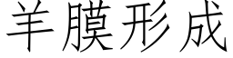 羊膜形成 (仿宋矢量字库)