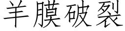 羊膜破裂 (仿宋矢量字库)