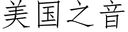 美国之音 (仿宋矢量字库)