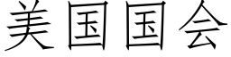 美国国会 (仿宋矢量字库)