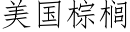 美国棕榈 (仿宋矢量字库)