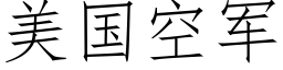 美国空军 (仿宋矢量字库)