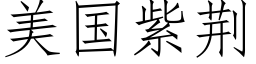 美国紫荆 (仿宋矢量字库)