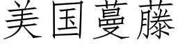 美国蔓藤 (仿宋矢量字库)