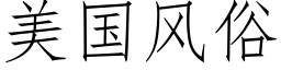 美国风俗 (仿宋矢量字库)