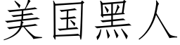 美国黑人 (仿宋矢量字库)