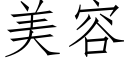 美容 (仿宋矢量字庫)