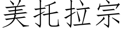 美托拉宗 (仿宋矢量字库)