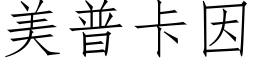 美普卡因 (仿宋矢量字库)