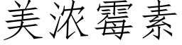 美浓霉素 (仿宋矢量字库)