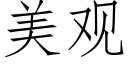 美观 (仿宋矢量字库)