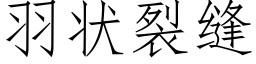 羽狀裂縫 (仿宋矢量字庫)