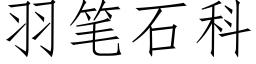 羽筆石科 (仿宋矢量字庫)